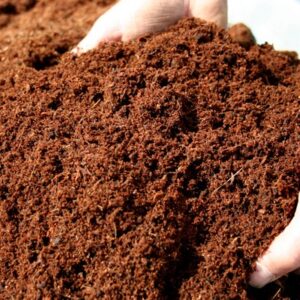 Complete Plant Care Kit, Organic Gardening Supplies Kit, Organic Plant Care Products, Potting Soil and Cocopeat Powder