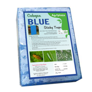 blue sticky pad pest control ipm 1 Blue Sticky Traps: Effective, Eco Friendly, Chemical Free Pest Management