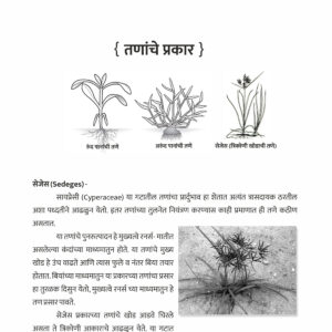 21 Pik Sanrakshan : Pesticides, Fungicides, Weedicides