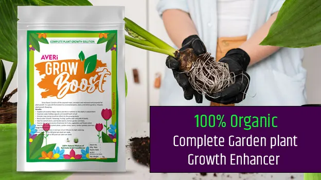 Grow Boost banner webp Home